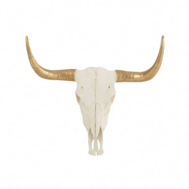 Crâne Vache Resine Blanc / Or L