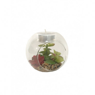 Succulente en terrarium en verre avec porte-bougie chauffe-plat