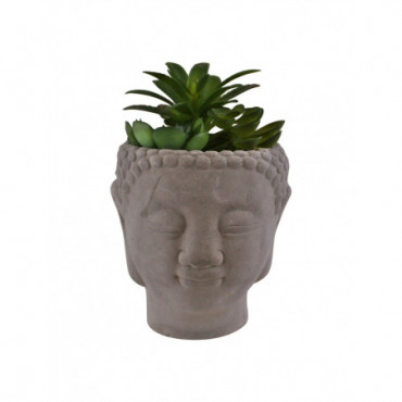 Plantes succulentes dans un pot en ciment à tête de bouddha