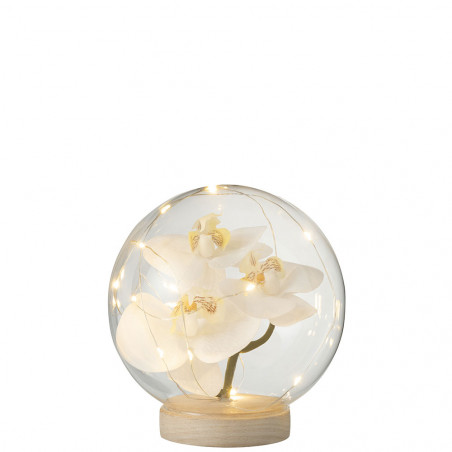 Fleur Sous Cloche Led Glass/Bois White/Natural Grande Taille