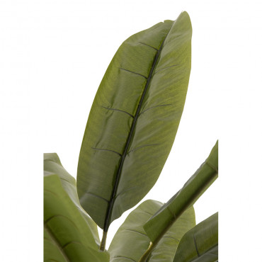 Bananier Plastique Vert/Brun