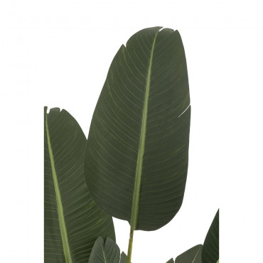 Strelitzia Plastique Vert Taille Moyenne