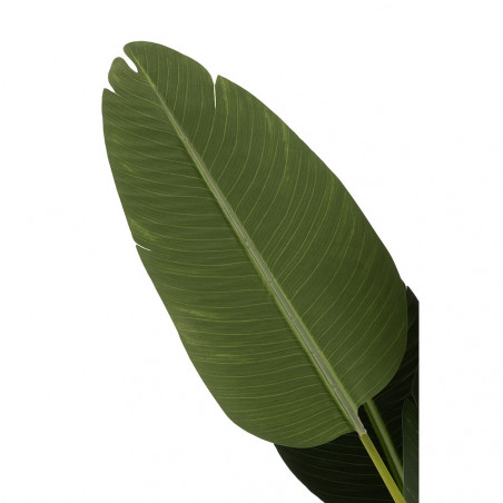 Strelitzia Plastique Vert Grande Taille