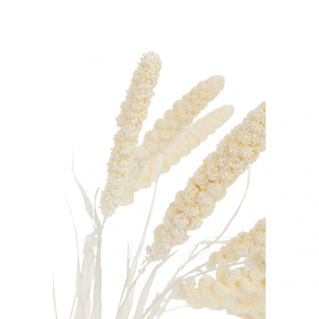 Bouquet Millet Seche Ecru