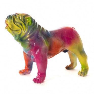 Bulldog Usa Rainbow M