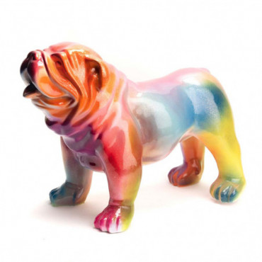 Bulldog Usa Rainbow S