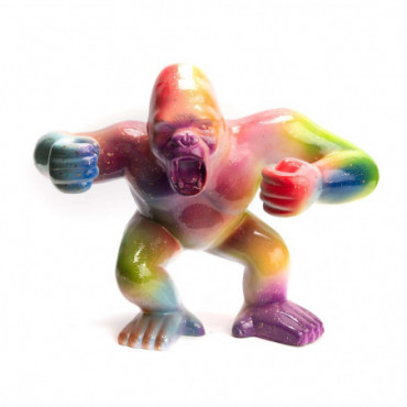 Gorille Rainbow S