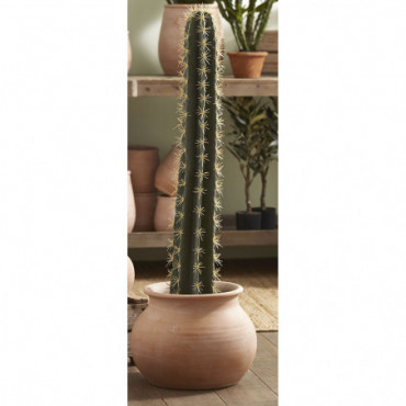 Cactus Cierge Pot Hauteur 104 Vert