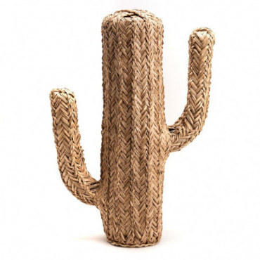 Cactus Deco Hauteur 62