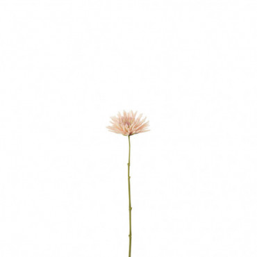 Chrysantheme Mini Plastique Blanc Rose Clair