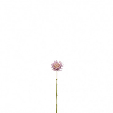 Chrysantheme Mini Plastique Blanc Mauve Clair