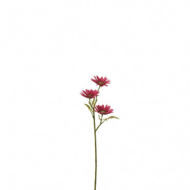 Fleur Paquerette Plastique Fuchsia