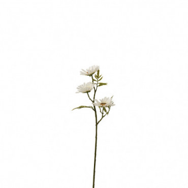 Fleur Paquerette Plastique Blanc