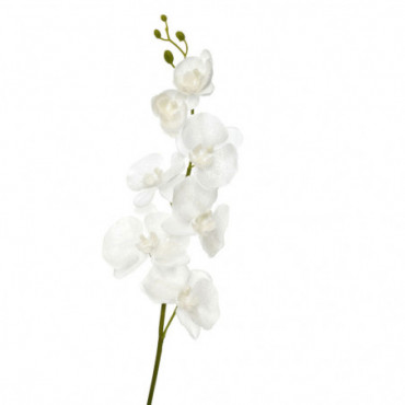 Orchidee Polyester Wit 98Cm