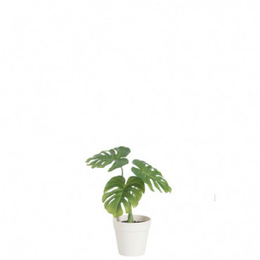 Feuille Philodendron + Pot Plastique Vert/Blanc Petit
