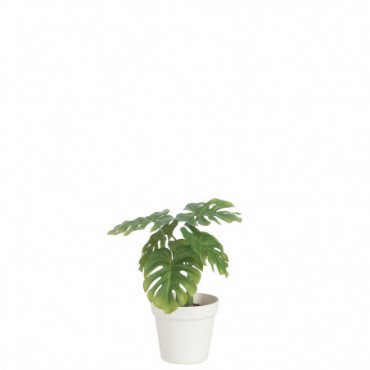 Feuille Philodendron + Pot Plastique Vert/Blanc Moyen