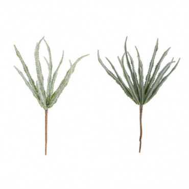 Succulente Haworthia Plastique Vert Clair
