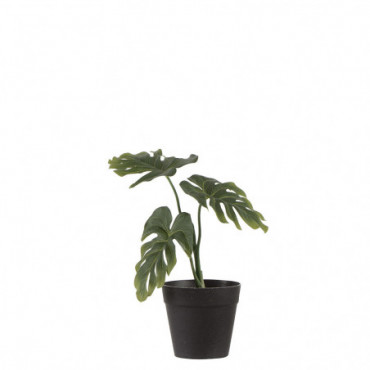 Philodendron En Pot 3 Parties Plastique Vert Petit