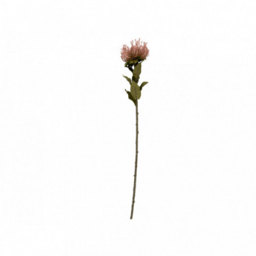 Plante Artificielle Protea Fleur Le Rose