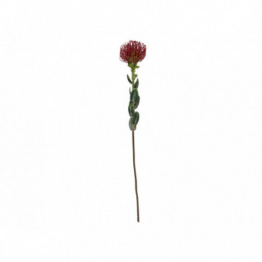 Plante Artificielle Protea Fleur Le Rouge