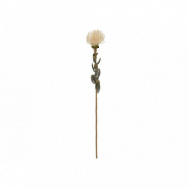 Plante Artificielle Protea Fleur Le Blanc