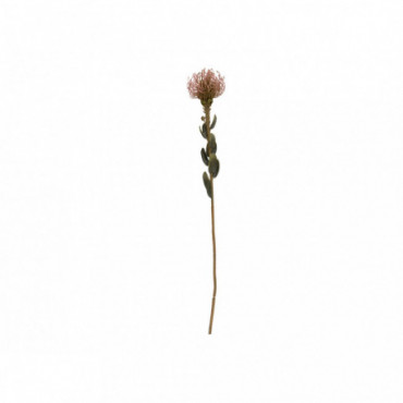 Plante Artificielle Protea Fleur Se Rose