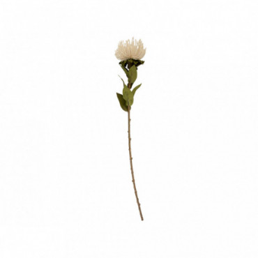 Plante Artificielle Protea Fleur Se Blanc