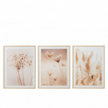 Cadre Fleurs Nature Bois/Verre Beige/Blanc x3