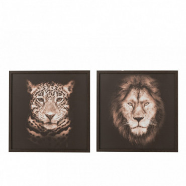 Cadre Lion/Panthere Bois/Verre Marron/Noir x2