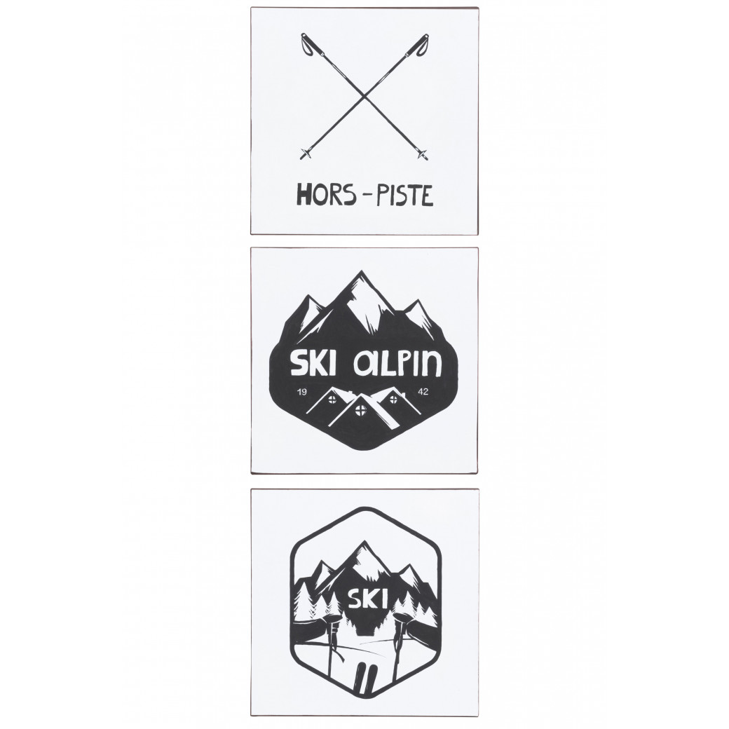 Pancarte texte+illustration ski metal blanc/noir assortiment de 3