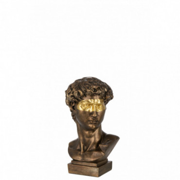 Buste David Résine Bronze/Dore