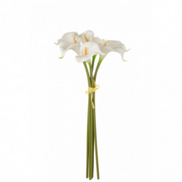 Bouquet Calla Lily 8Pieces Plastique Blanc L