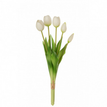 Bouquet Tulipes 5Pieces Pu Blanc M