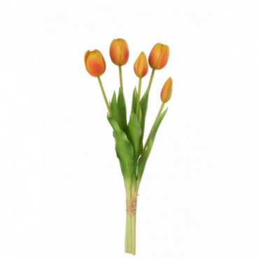 Bouquet Tulipes 5Pieces Pu Orange M