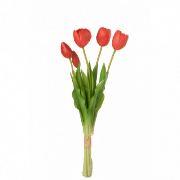 Bouquet Tulipes 5Pieces Pu Rose Corail M