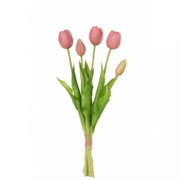 Bouquet Tulipes 5Pieces Pu Rose M
