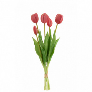 Bouquet Tulipes 5Pieces Pu Rose Vif M