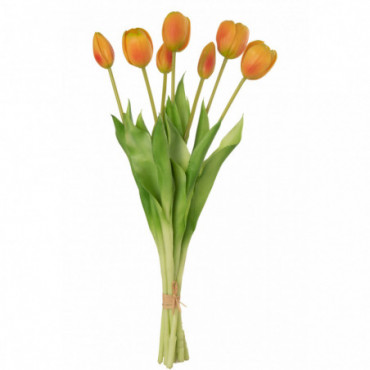 Bouquet Tulipes 7Pieces Pu Orange L