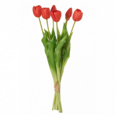 Bouquet Tulipes 7Pieces Pu Rose Corail L