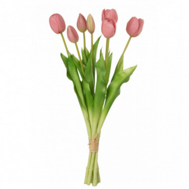Bouquet Tulipes 7Pieces Pu Rose L