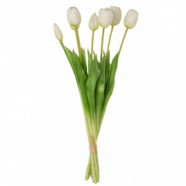 Bouquet Tulipes 7Pieces Pu Rose Pale L