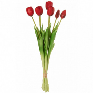Bouquet Tulipes 7Pieces Pu Rouge L
