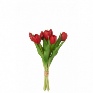 Bouquet Tulipes 7Pieces Pu Rouge S