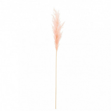Branche Plume Pampas Rose Clair