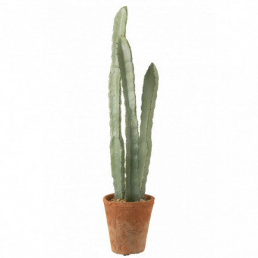 Cactus 3 Parties En Pot Plastique Vert L