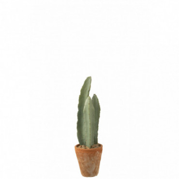 Cactus 3 Parties En Pot Plastique Vert S