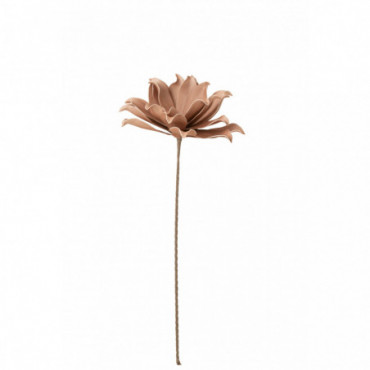 Fleur Branche Feuilles Courtes 1 Tete Eva Rose Nude