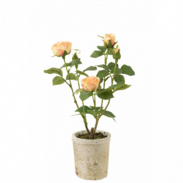 Rose 5 Tetes En Pot Plastique/Textile Jaune/Vert