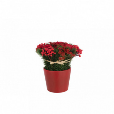 Roses+Baies En Pot Ciment Plastique Rouge/Vert