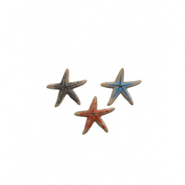 Étoiles de mer colorées x3